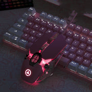 RGB Wired Gaming Mouse